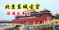 靠逼色视频中国北京-东城古宫旅游风景区